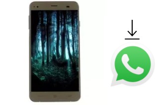 Comment installer WhatsApp dans un Hotwav Venus X16