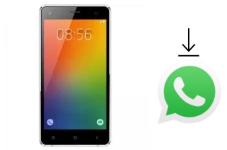 Comment installer WhatsApp dans un Hotwav Venus X5