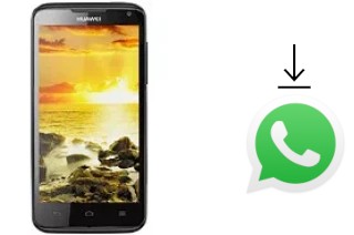 Comment installer WhatsApp dans un Huawei Ascend D quad