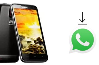 Comment installer WhatsApp dans un Huawei Ascend D1