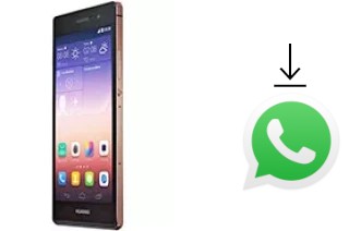 Comment installer WhatsApp dans un Huawei Ascend P7 Sapphire Edition