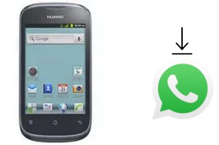 Comment installer WhatsApp dans un Huawei Ascend Y