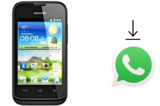 Comment installer WhatsApp dans un Huawei Ascend Y210D