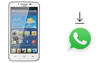 Comment installer WhatsApp dans un Huawei Ascend Y511