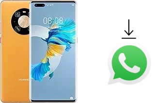 Comment installer WhatsApp dans un Huawei Mate 40 Pro 4G