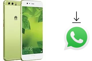 Comment installer WhatsApp dans un Huawei P10 Plus