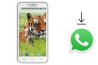 Comment installer WhatsApp dans un Hyundai Tiger V2