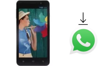 Comment installer WhatsApp dans un iBold XL5