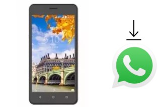 Comment installer WhatsApp dans un Ibrit VI51