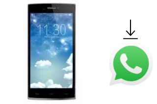 Comment installer WhatsApp dans un Ikon Y10