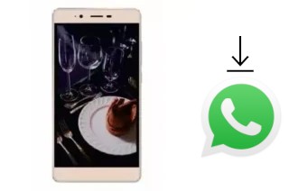 Comment installer WhatsApp dans un Iku Zeus Z55I