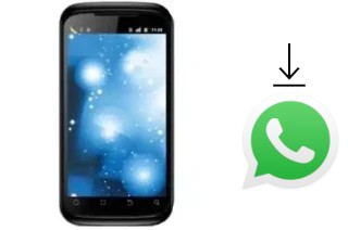 Comment installer WhatsApp dans un Inco Hebe-