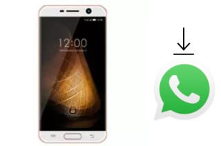 Comment installer WhatsApp dans un Infone X-Cite Gorilla 8