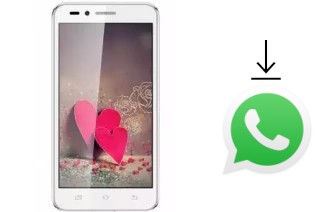 Comment installer WhatsApp dans un Infone X-Cite SE