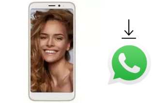 Comment installer WhatsApp dans un Inoi 6i Lite