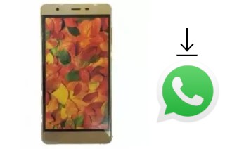 Comment installer WhatsApp dans un Inovo I516 X5