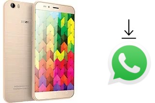 Comment installer WhatsApp dans un Intex Aqua Trend