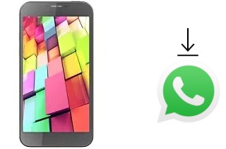 Comment installer WhatsApp dans un Intex Aqua 4G+