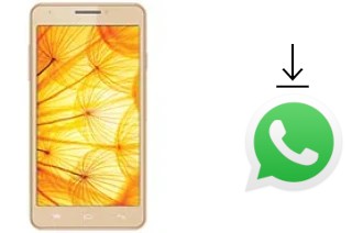 Comment installer WhatsApp dans un Intex Aqua Xtreme II