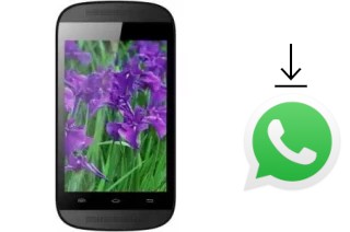 Comment installer WhatsApp dans un iPro Wave 3-5