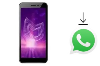 Comment installer WhatsApp dans un Irbis SP493