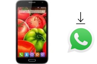 Comment installer WhatsApp dans un Jiake G900W