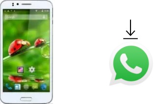 Comment installer WhatsApp dans un Jiake JK720