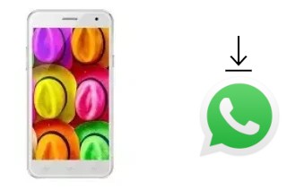 Comment installer WhatsApp dans un Jinga Fresh 4G