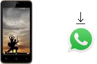 Comment installer WhatsApp dans un Karbonn A9 Indian