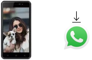 Comment installer WhatsApp dans un Karbonn K9 Smart Selfie