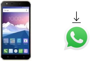 Comment installer WhatsApp dans un Karbonn K9 Viraat 4G