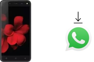 Comment installer WhatsApp dans un Karbonn Titanium Frames S7