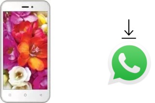 Comment installer WhatsApp dans un Karbonn Titanium Vista 4G