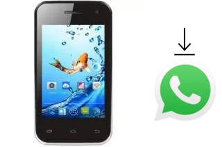 Comment installer WhatsApp dans un Kata B1S