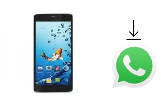 Comment installer WhatsApp dans un Kata C1