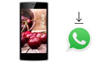 Comment installer WhatsApp dans un KENEKSI Dream