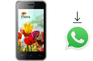 Comment installer WhatsApp dans un KENEKSI Flora