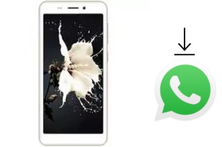 Comment installer WhatsApp dans un Kenxinda T50