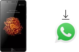 Comment installer WhatsApp dans un Kenxinda V9