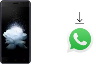 Comment installer WhatsApp dans un Kenxinda W50