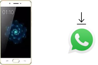 Comment installer WhatsApp dans un Kenxinda X6