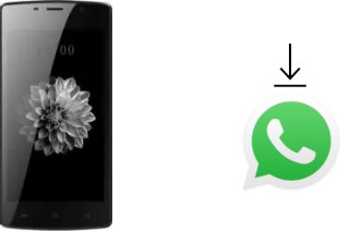 Comment installer WhatsApp dans un Kenxinda X7