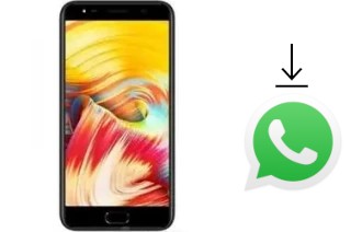 Comment installer WhatsApp dans un KingZone P3