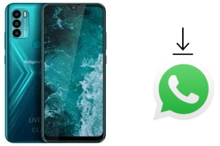 Comment installer WhatsApp dans un Kruger-Matz LIVE 9