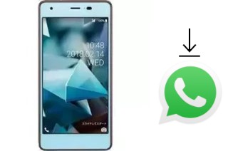 Comment installer WhatsApp dans un Kyocera Digno A