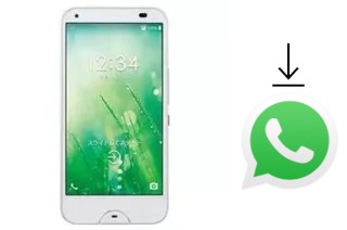 Comment installer WhatsApp dans un Kyocera Digno W