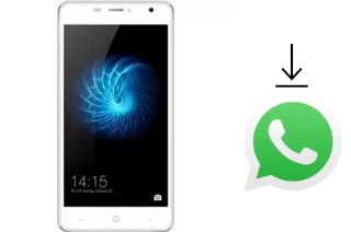 Comment installer WhatsApp dans un KZEN Majesty M2