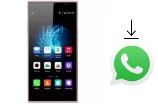 Comment installer WhatsApp dans un KZEN Rex R2