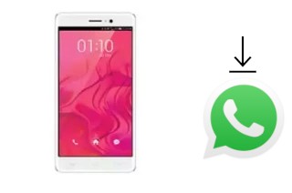 Comment installer WhatsApp dans un L-Max Daimon 2