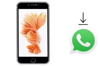 Comment installer WhatsApp dans un L-Max Daimon 6